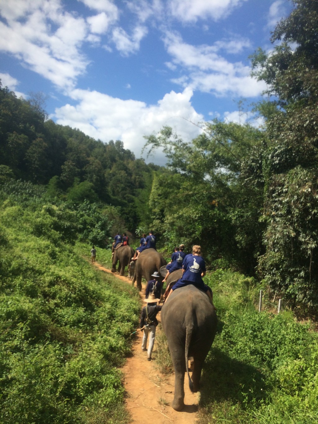 Chiang Mai: Day 2 (Baan Chang Elephant&nbsp;Reserve).
