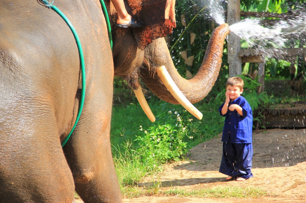 More from Baan&nbsp;Chang.