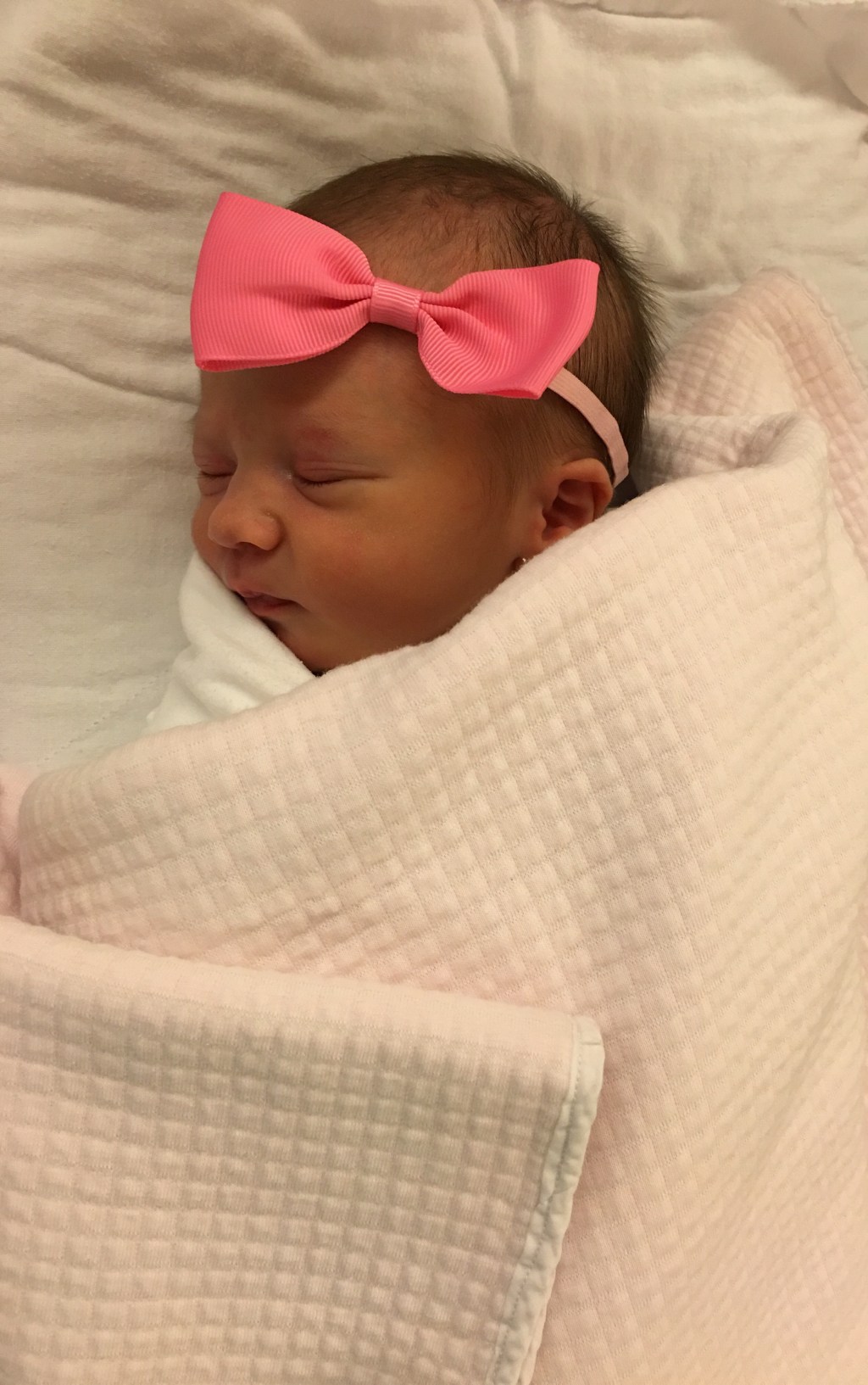 Protected: The Arrival of Anna&nbsp;Lynn.