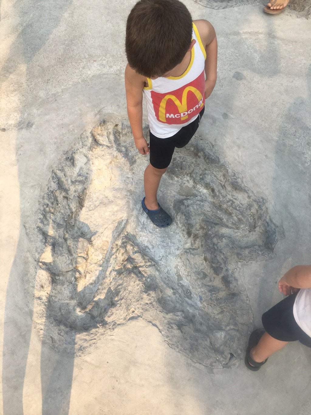 Dinosaur Planet (Phom Phrong, Bangkok, Thailand).   